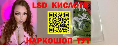 стафф Дубна