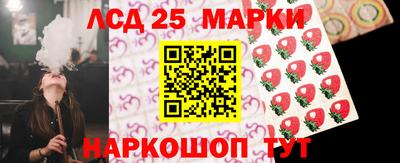 индика Донецк