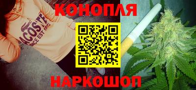 стафф Дубна