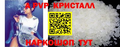 стафф Дубна