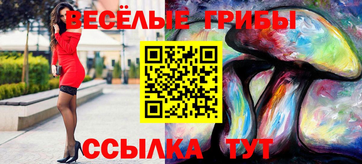 Галлюциногенные грибы Psilocybine cubensis Малоярославец
