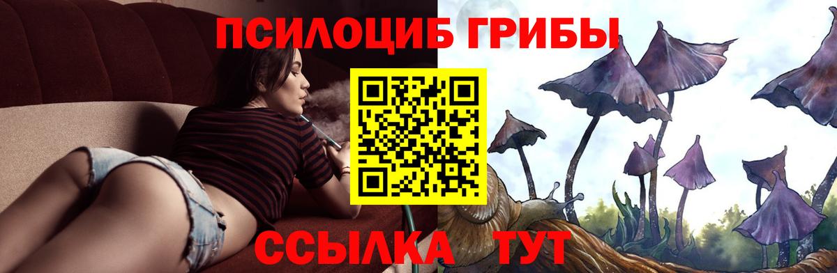 купить закладку  Псилоцибиновые грибы MAGIC MUSHROOMS  Вход с VPN  Малоярославец 